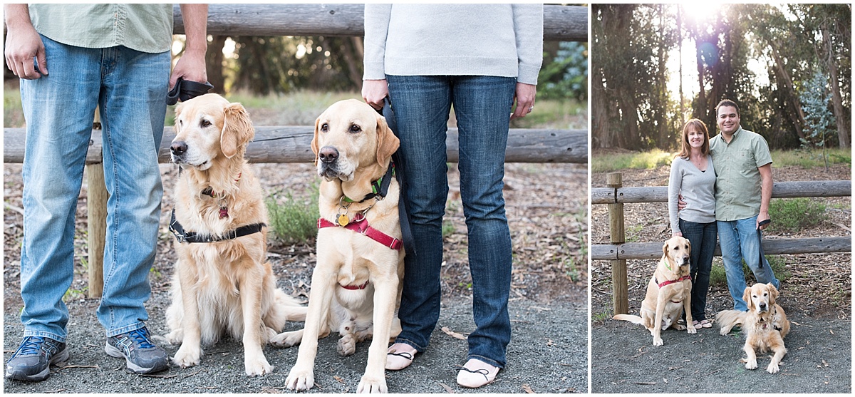 Golden Retriever Dogs Family Photo Shoot in Pismo Beach and the Monarch Butterfly Grove, California