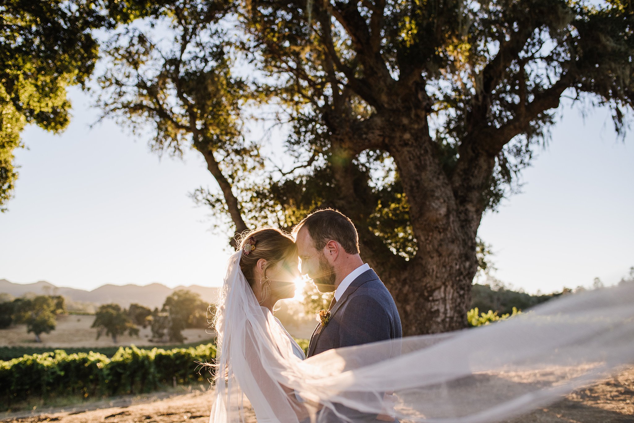 2018 Favorite Wedding Images San Luis Obispo County