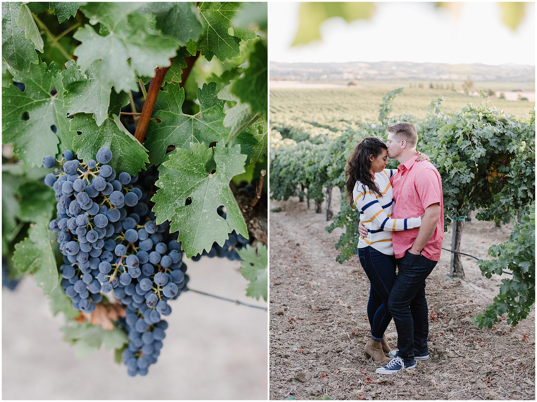 Still Water Winery Engagement Session in Paso Robles, California