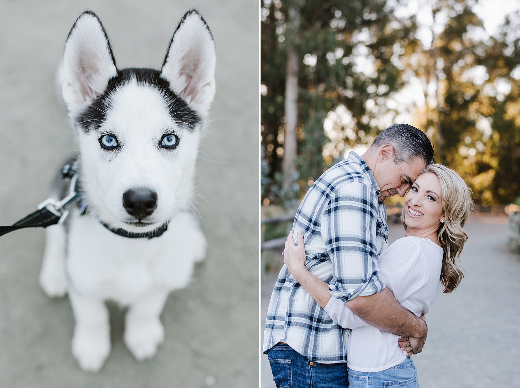 Monarch Butterfly Grove with Husky Puppy Engagement Session during Summer