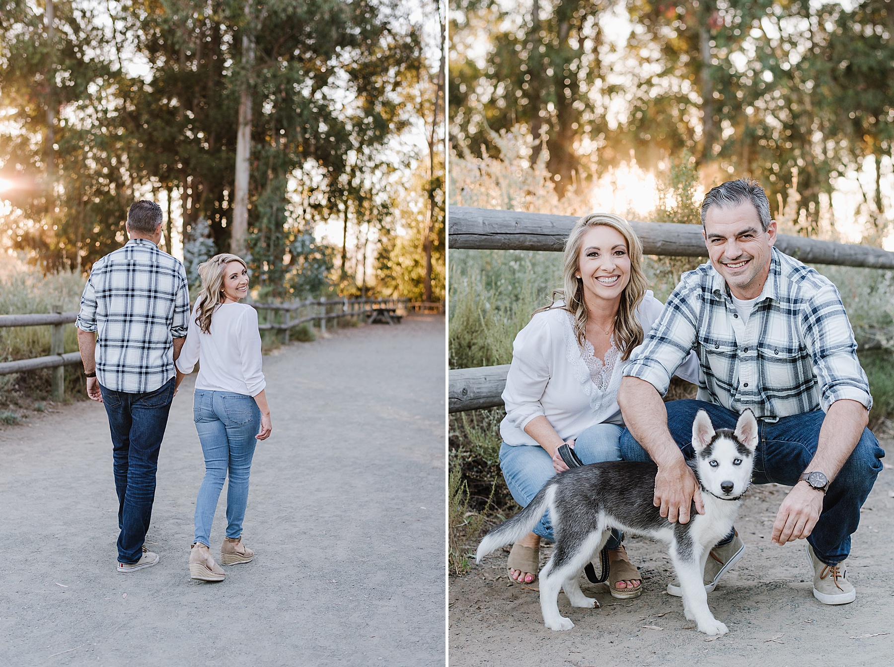 Monarch Butterfly Grove with Husky Puppy Engagement Session during Summer
