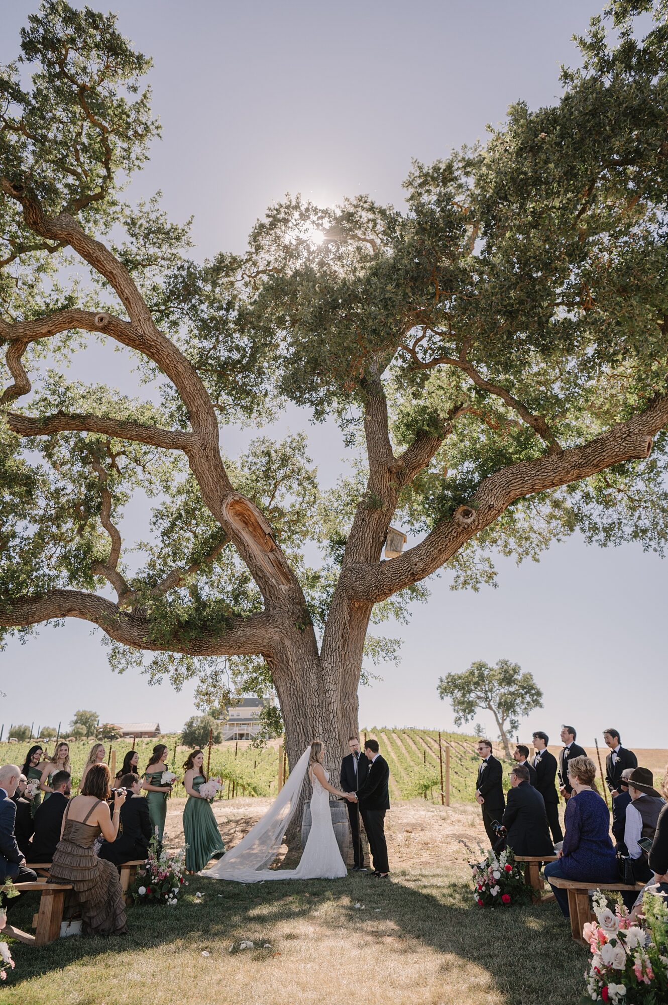 Experience the magic of a luxury wedding Ellas Vineyard in Paso Robles, CA. From breathtaking sunset photos to exquisite details.