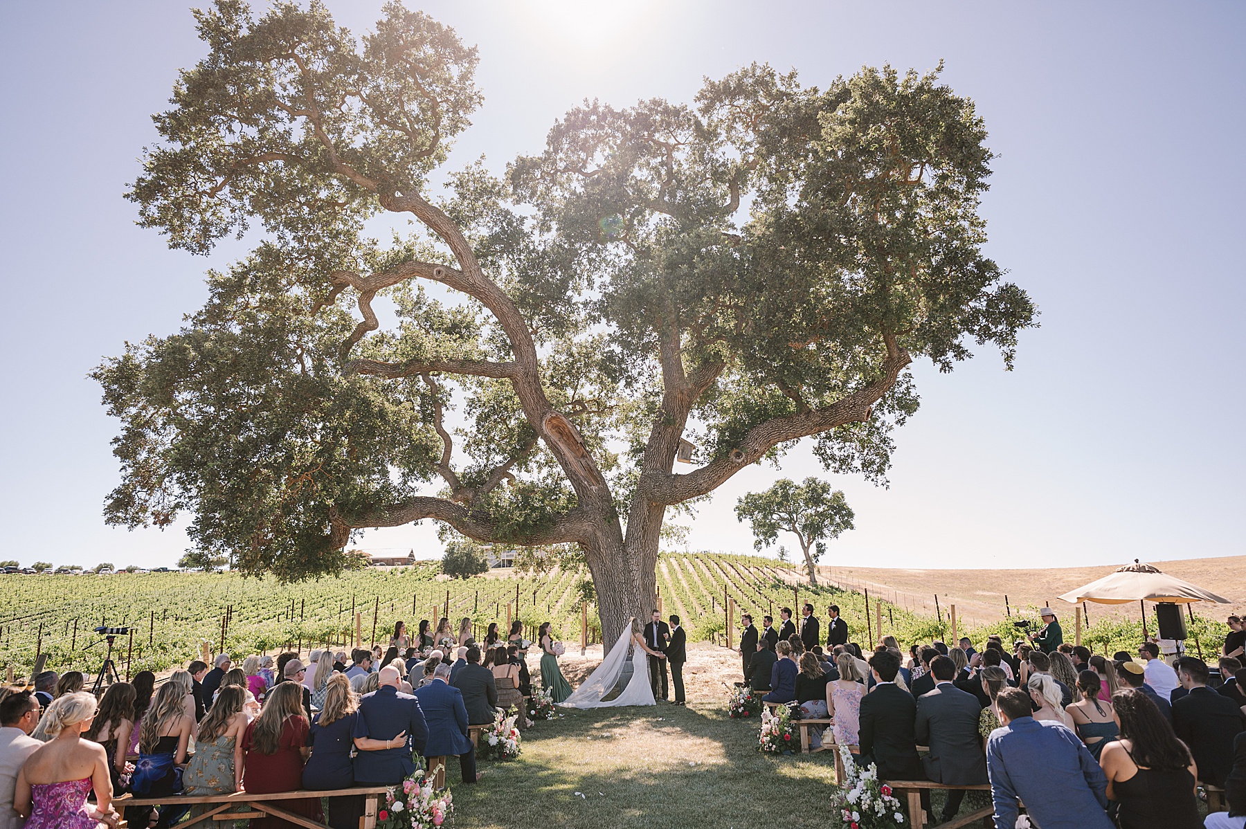 Experience the magic of a luxury wedding Ella's Vineyard in Paso Robles, CA. From breathtaking sunset photos to exquisite details.