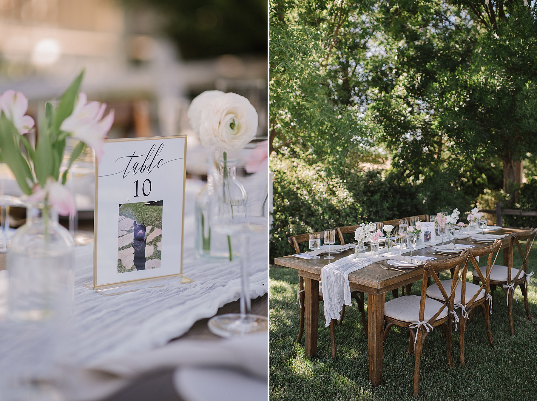 Experience the magic of a luxury wedding Ellas Vineyard in Paso Robles, CA. From breathtaking sunset photos to exquisite details.