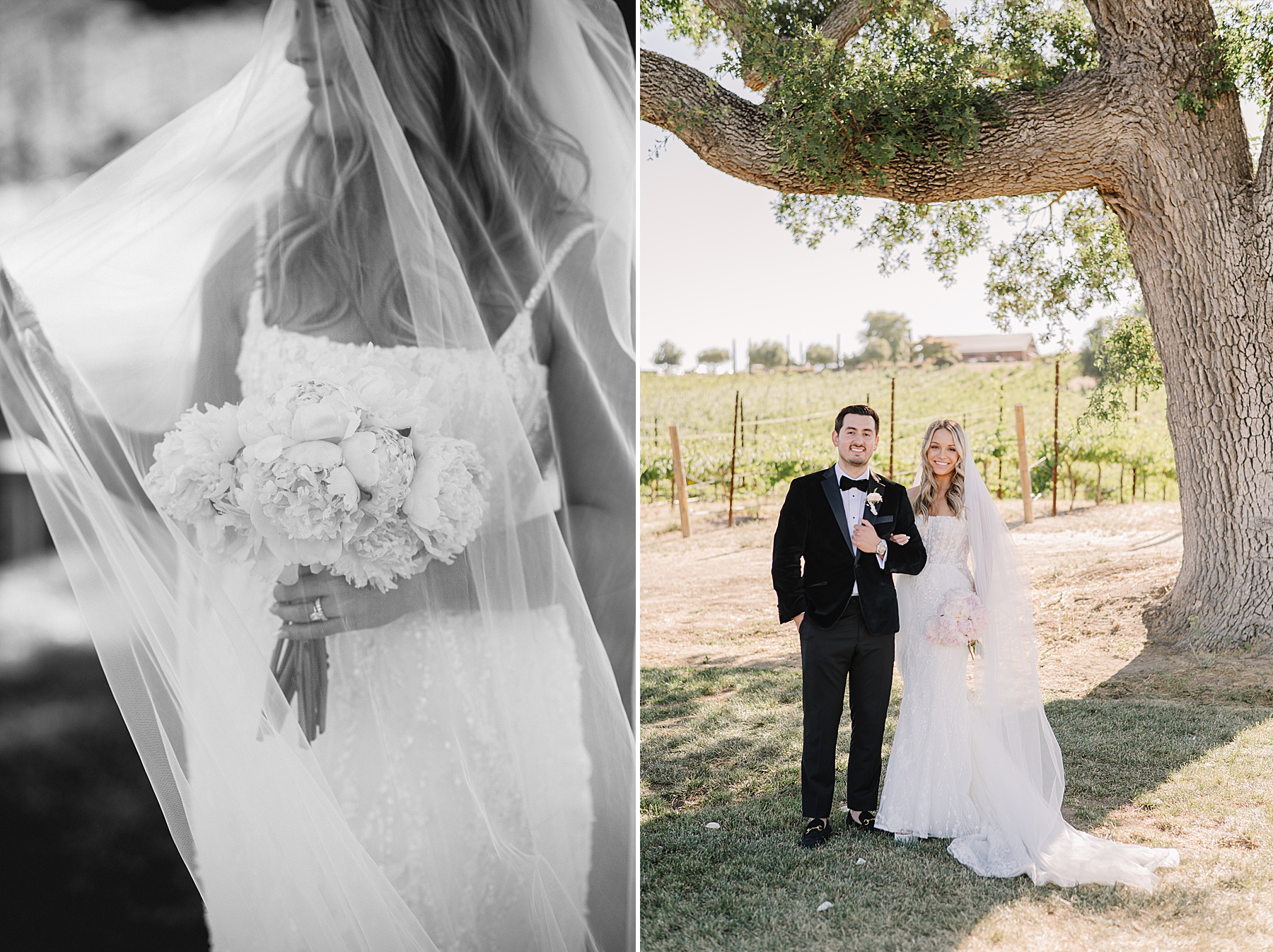 Experience the magic of a luxury wedding Ellas Vineyard in Paso Robles, CA. From breathtaking sunset photos to exquisite details.