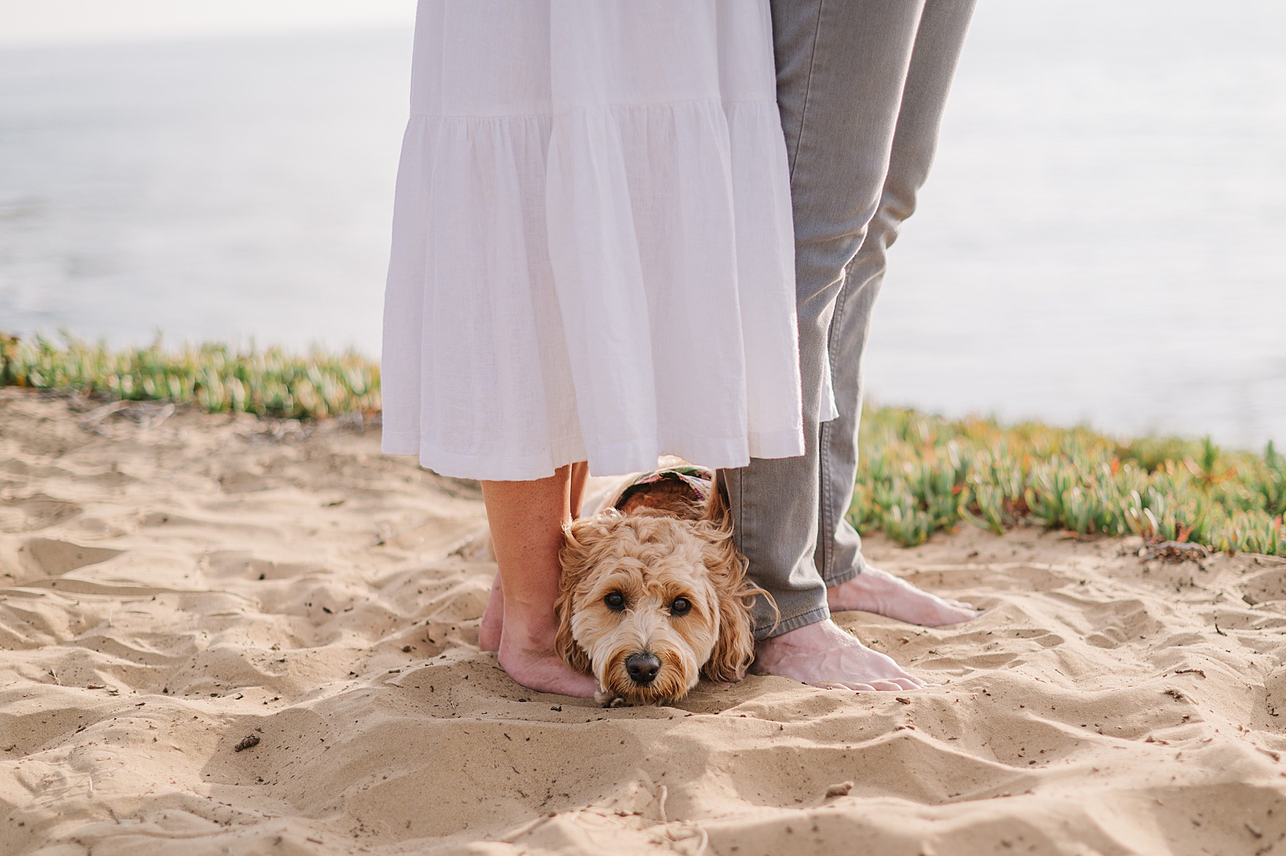 Nikkels Photography, SLO-county engagement photographer, shares inspiration for an adventurous engagement session at Hazards Canyon.