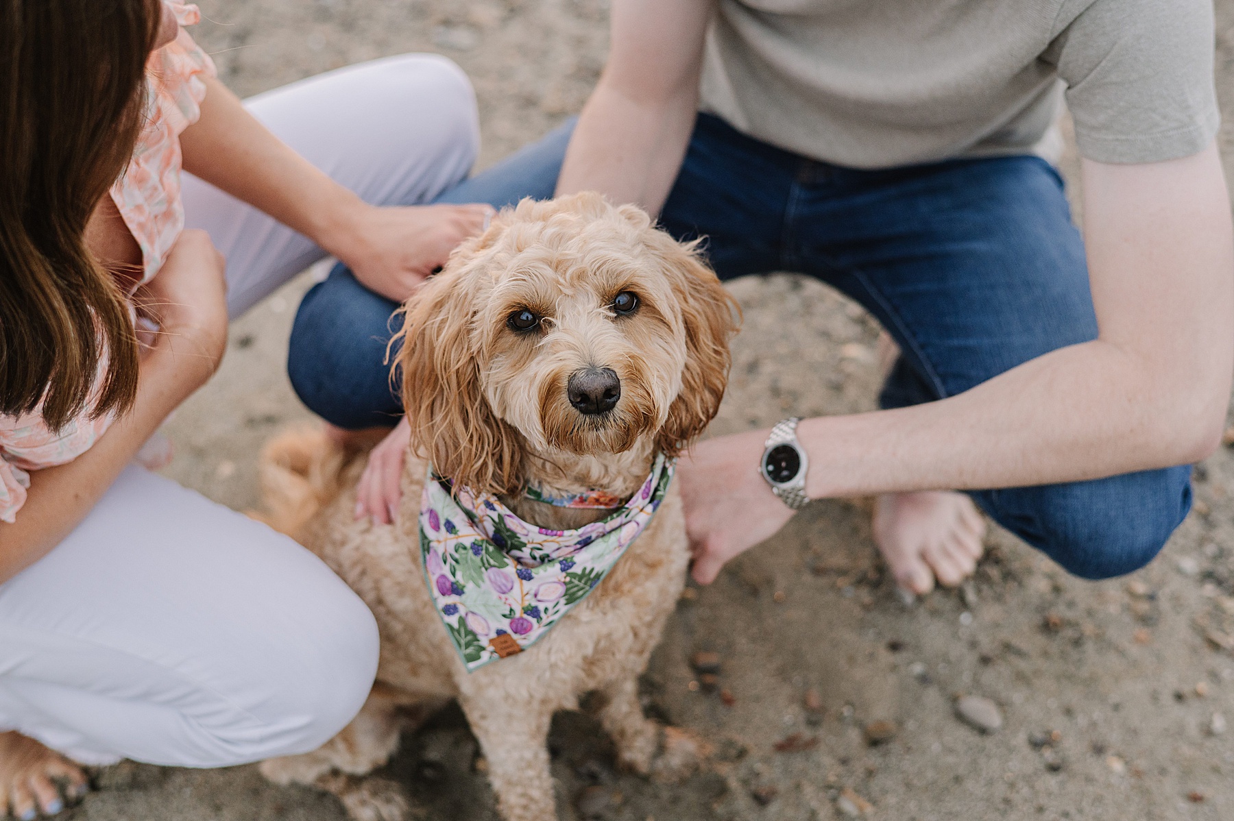 Nikkels Photography, SLO-county engagement photographer, shares inspiration for an adventurous engagement session at Hazards Canyon.