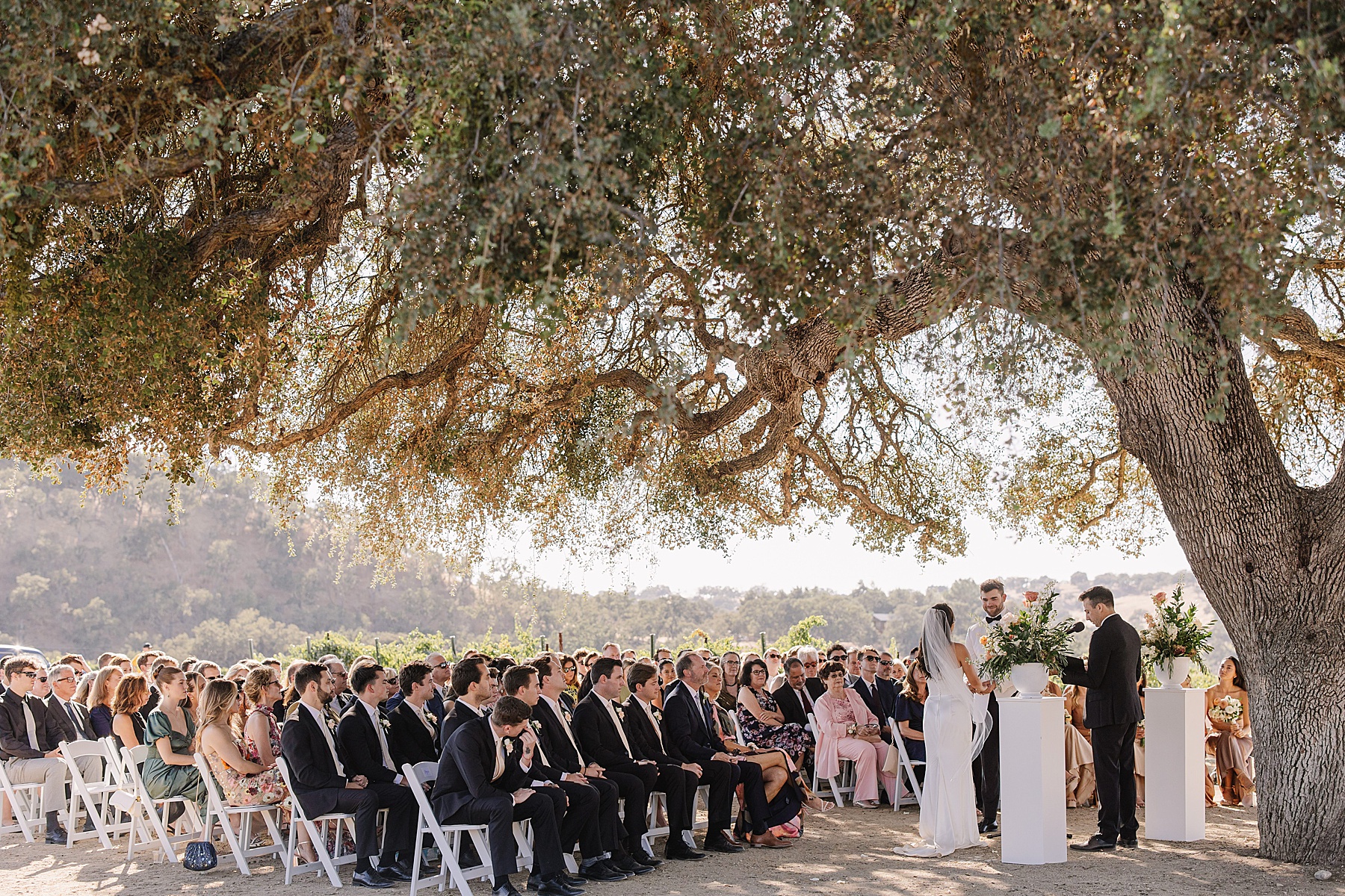 Wedding ceremony taking place under the shade of a large tree at Cass Winery in Paso Robles. The bride and groom stand at the altar while guests sit in rows of white chairs, with dappled sunlight filtering through the tree branches. The backdrop features rolling hills and vineyards, creating a serene and intimate outdoor setting.