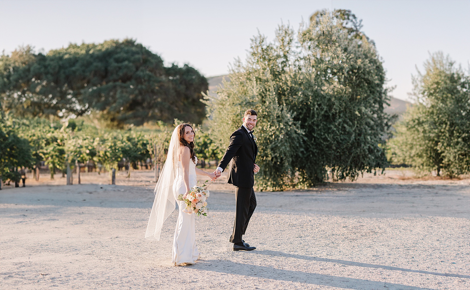 Newlywed couple holding hands and smiling while walking through the scenic vineyard at Cass Winery in Paso Robles, California, with lush greenery and clear skies in the background.