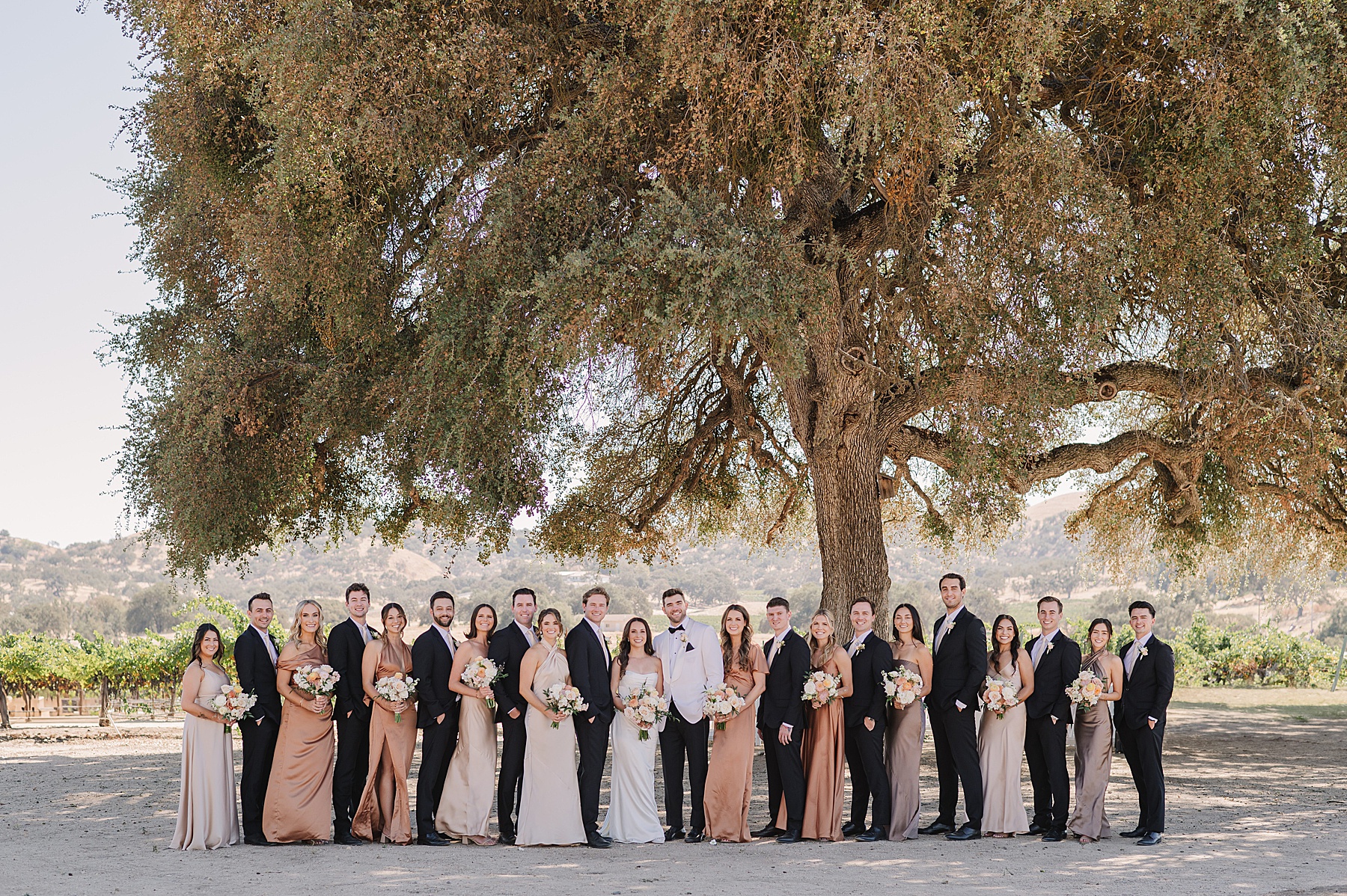 Large bridal party photo taken under a sprawling tree at Cass Winery in Paso Robles. The bride and groom stand in the center, surrounded by bridesmaids in champagne and bronze dresses and groomsmen in black suits. The group is smiling, with the vineyard and rolling hills visible in the background, creating a picturesque outdoor scene.