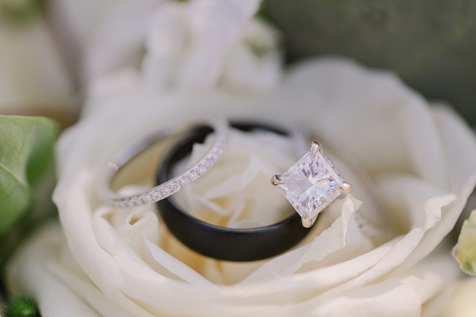 A timeless flat lay of wedding rings nestled in white roses—capturing the details that set the tone for your beautifully planned wedding timeline.
