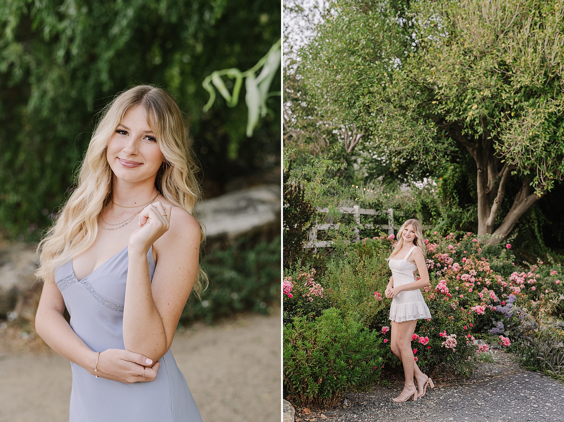 Image of the Year Contest