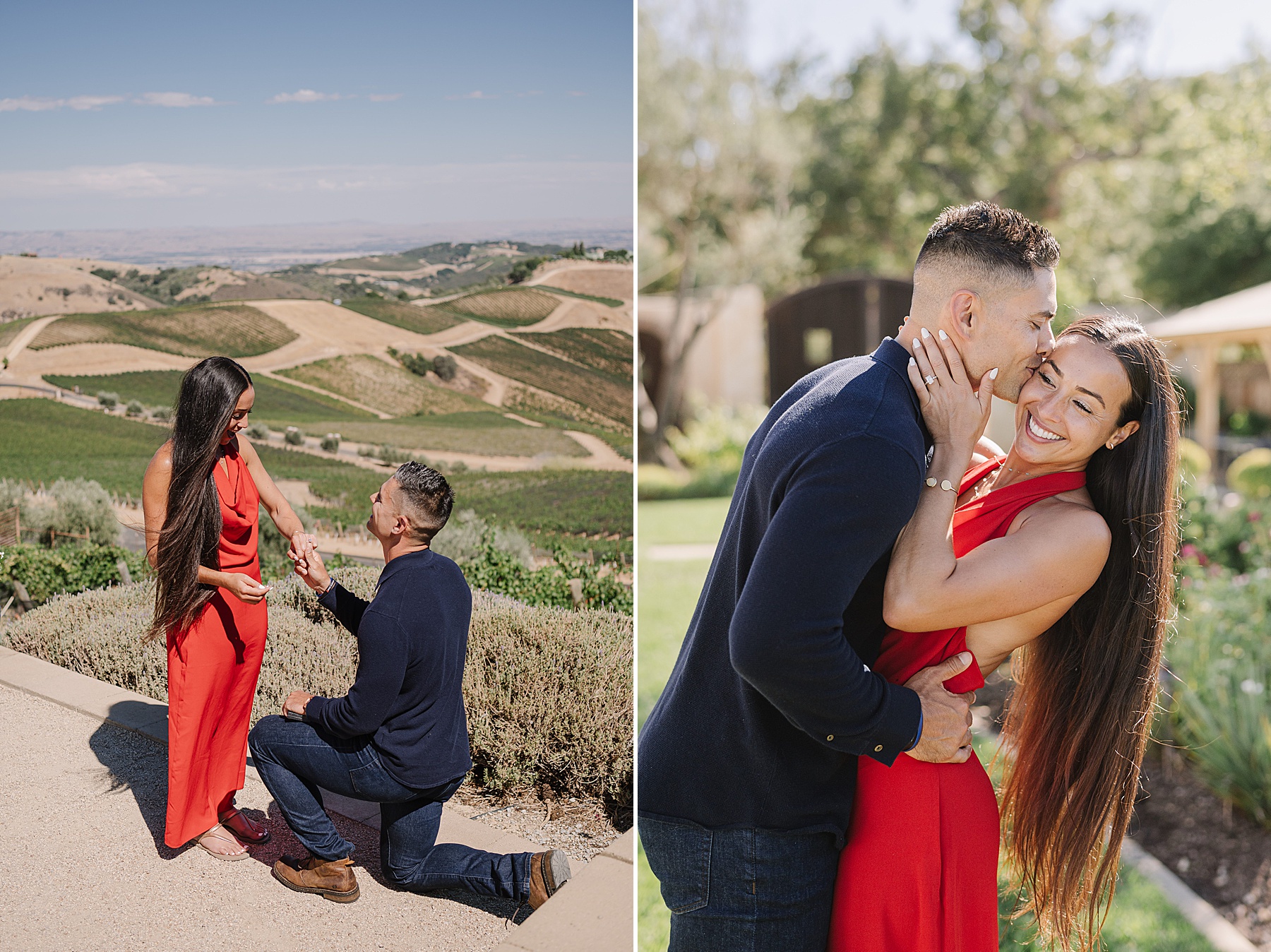 Image of the Year Contest 2025