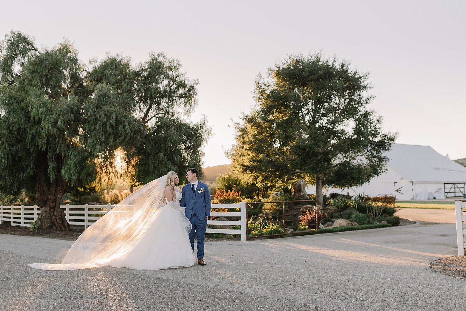 Bride and groom sharing a golden hour portrait at White Barn Wedding Venue in Edna Valley, California surrounded by vineyard scenery, oak trees, and romantic Central Coast sunset light.