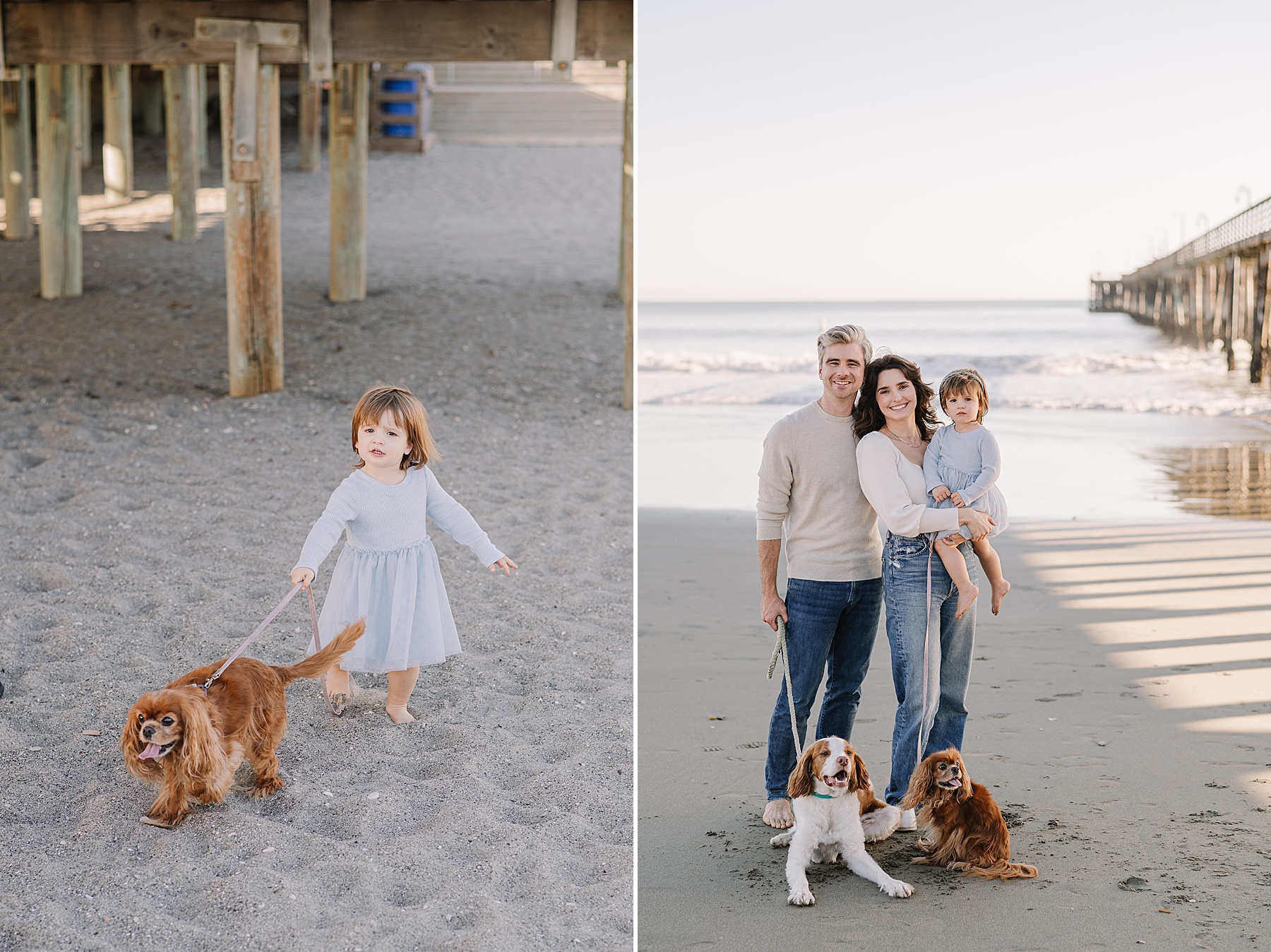 Toddler for family photos walking the family dog and posing with parents on a San Luis Obispo beach at sunset.