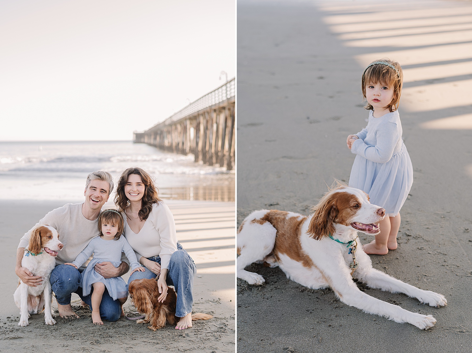 Toddler for family photos enjoying a relaxed beach session with family and pets in San Luis Obispo.