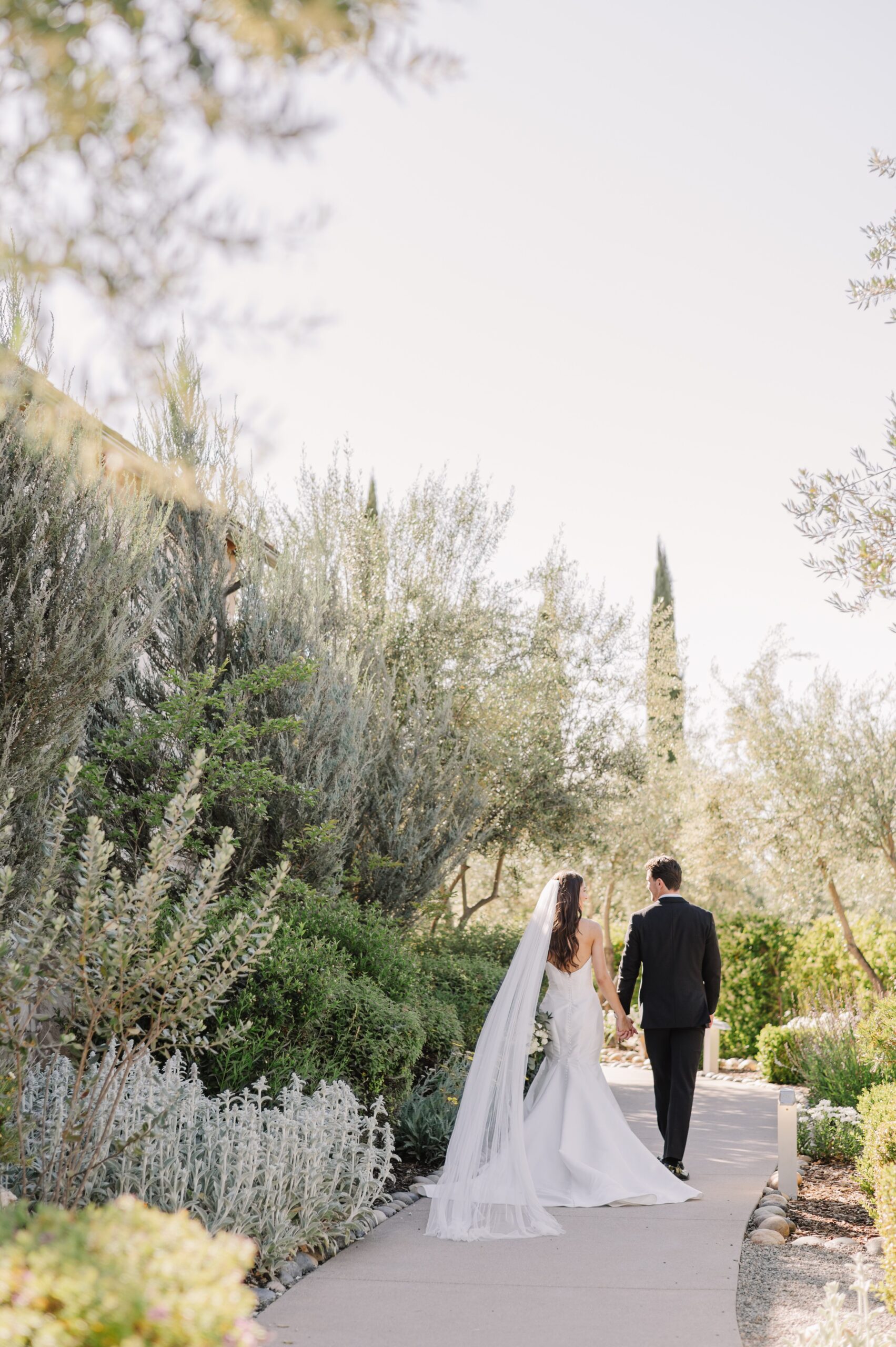 Image of the Year Recap 2025